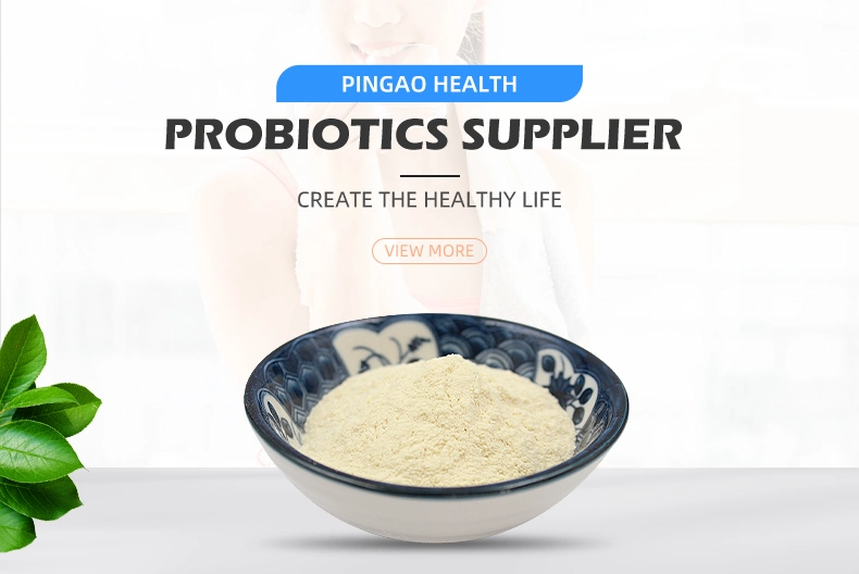 Heath Care Product Sample Available High Quality Lactobacillus Plantarum Probiotics Powder