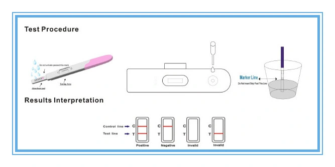 Pregnancy Tests Rapid HCG Detection Midstream Pregnancy Test Kits