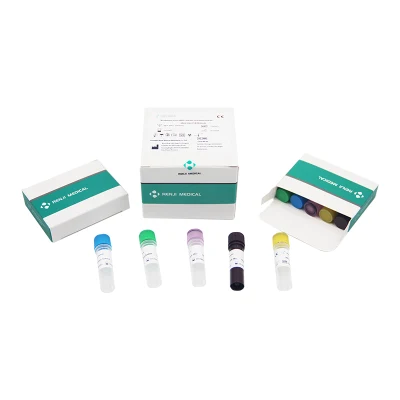 Renji Monkeypox Virus Kit de Detecção de Ácido Nucleico Kit de Teste Monkeypox PCR